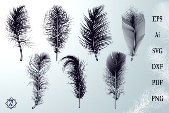 A Graphic Designer’s Review of Feather Silhouette Illustrations