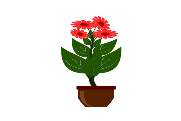 An Editorial Review of the Flower Pot Plant Graphics