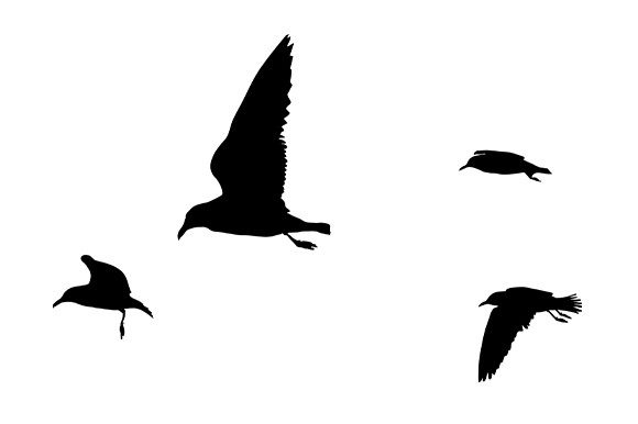 Coastal Crafting: Seagulls as a Versatile Graphic Element