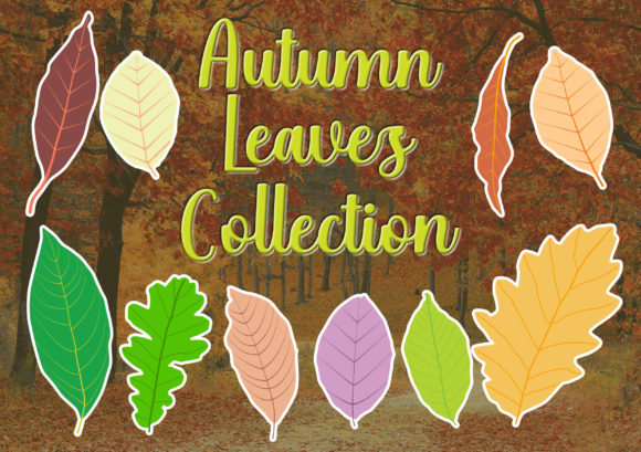 Evaluating the Autumn Leaves Collection for Professional Branding Projects