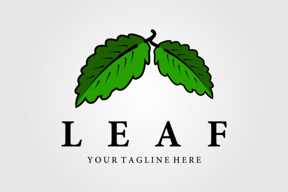 Reviewing Leaf Vintage Logo Vector Illustration for Modern Client Projects